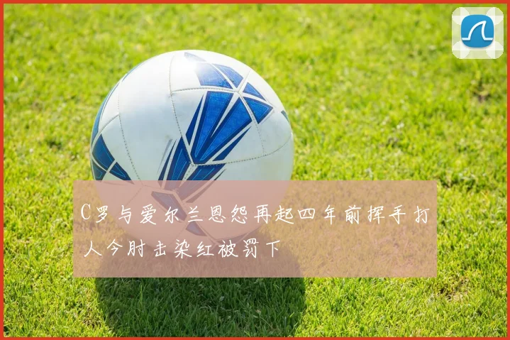 C罗与爱尔兰恩怨再起四年前挥手打人今肘击染红被罚下