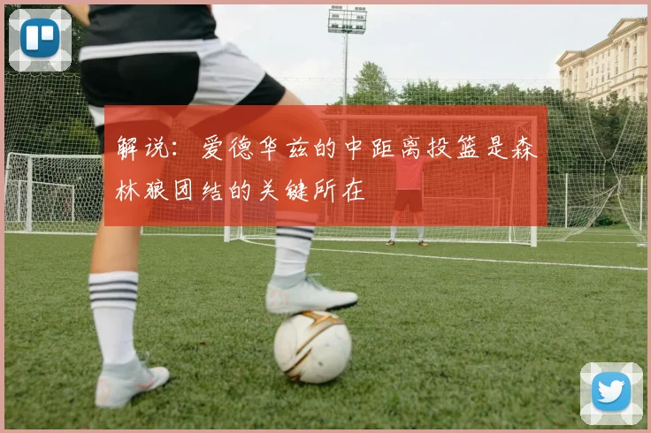 解说：爱德华兹的中距离投篮是森林狼团结的关键所在