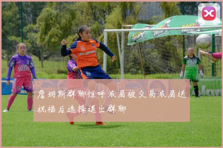 詹姆斯群聊惊呼浓眉被交易浓眉送祝福后选择退出群聊